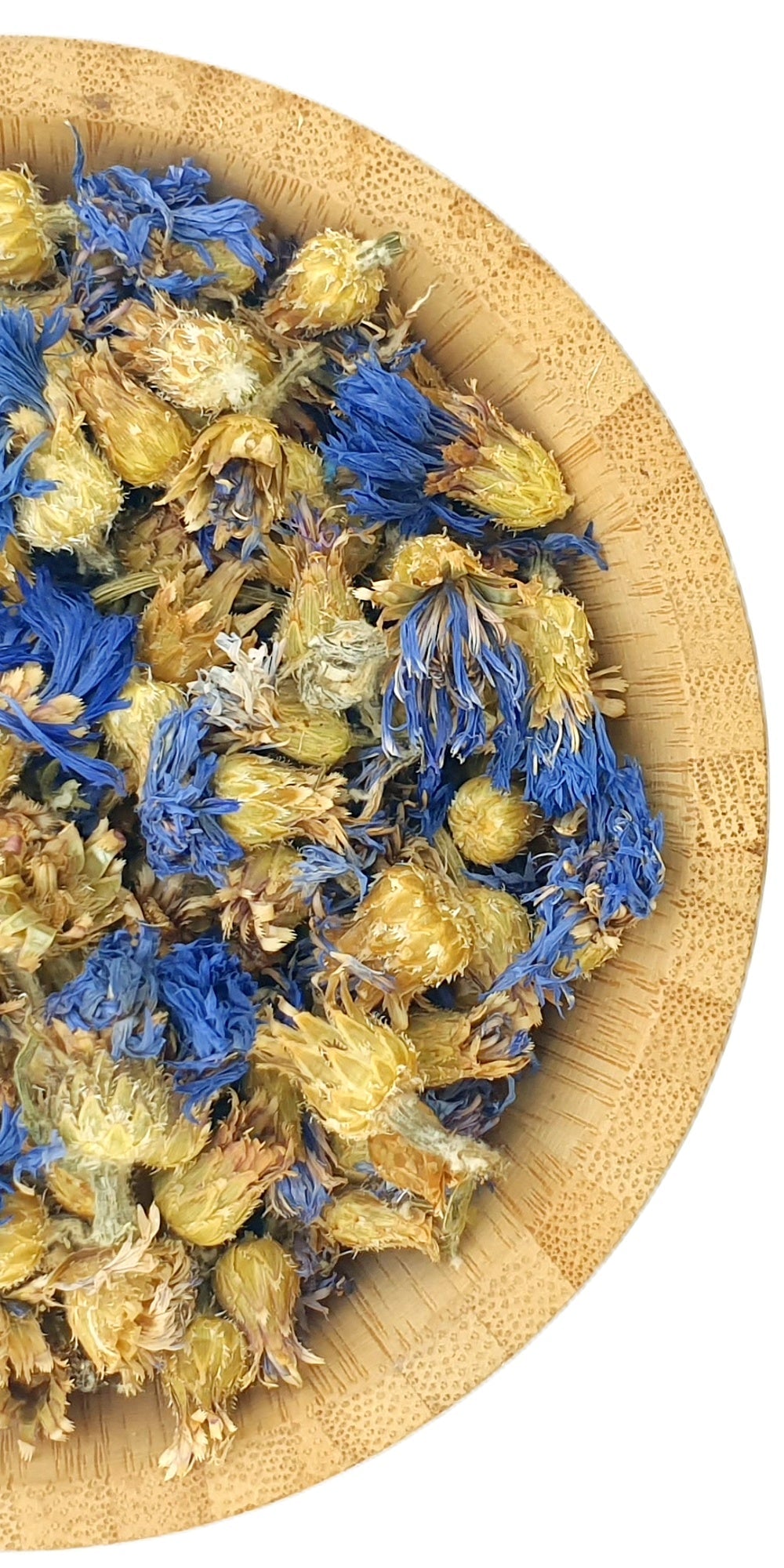 Blue Cornflowers