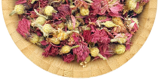 Pink Cornflowers