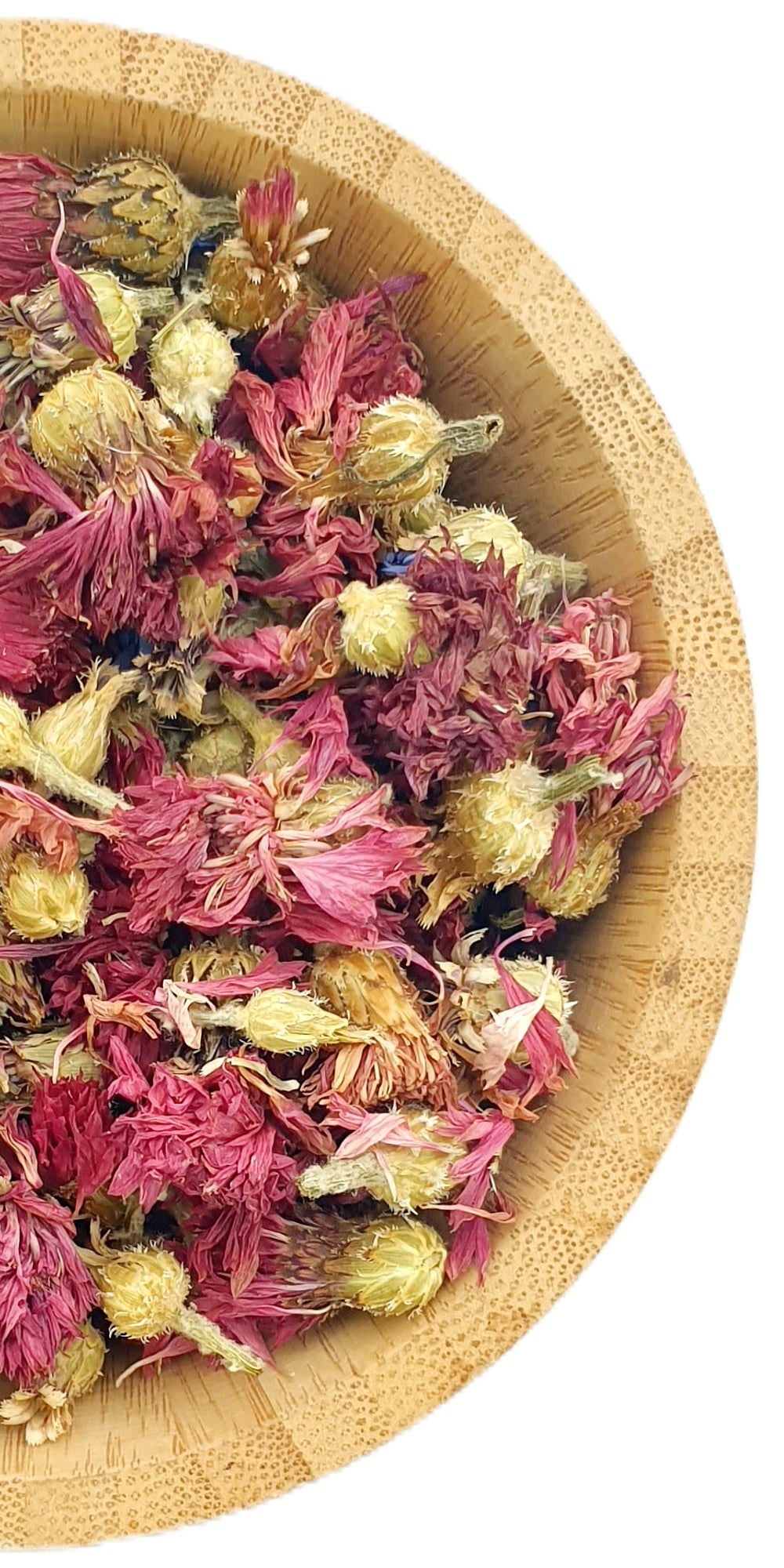 Pink Cornflowers
