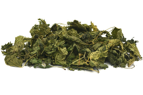 Stinging Nettle Leaf - Limited Quantity - HerbalMansion.com