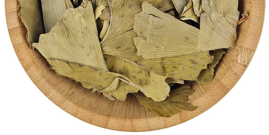 Ginkgo Biloba Leaf