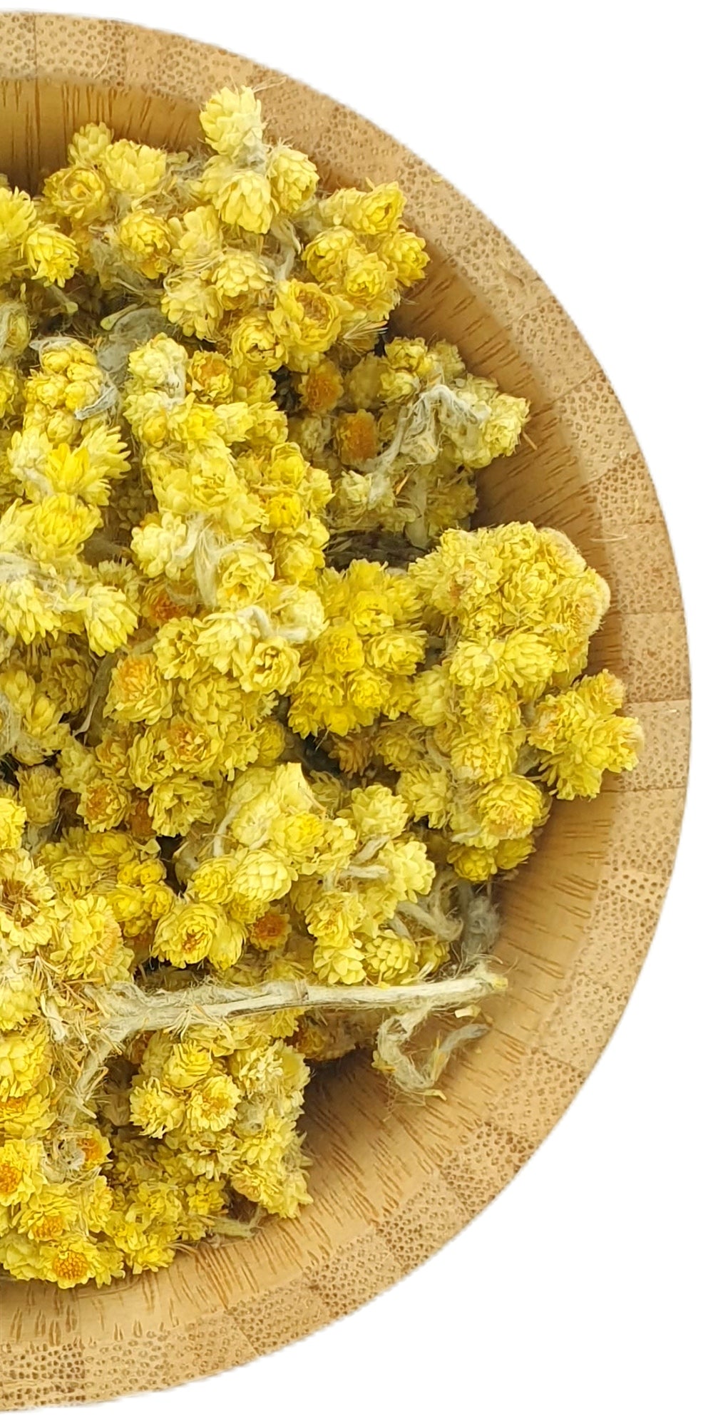 Sand Everlasting Flowers