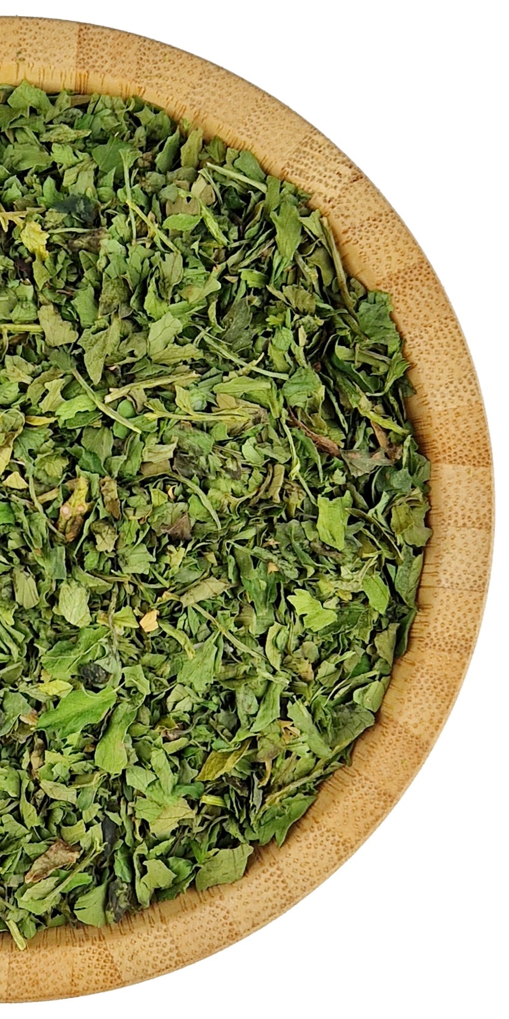 Coriander Leaf