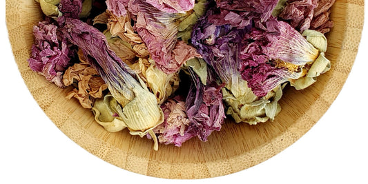 Purple Hollyhock - Mallow