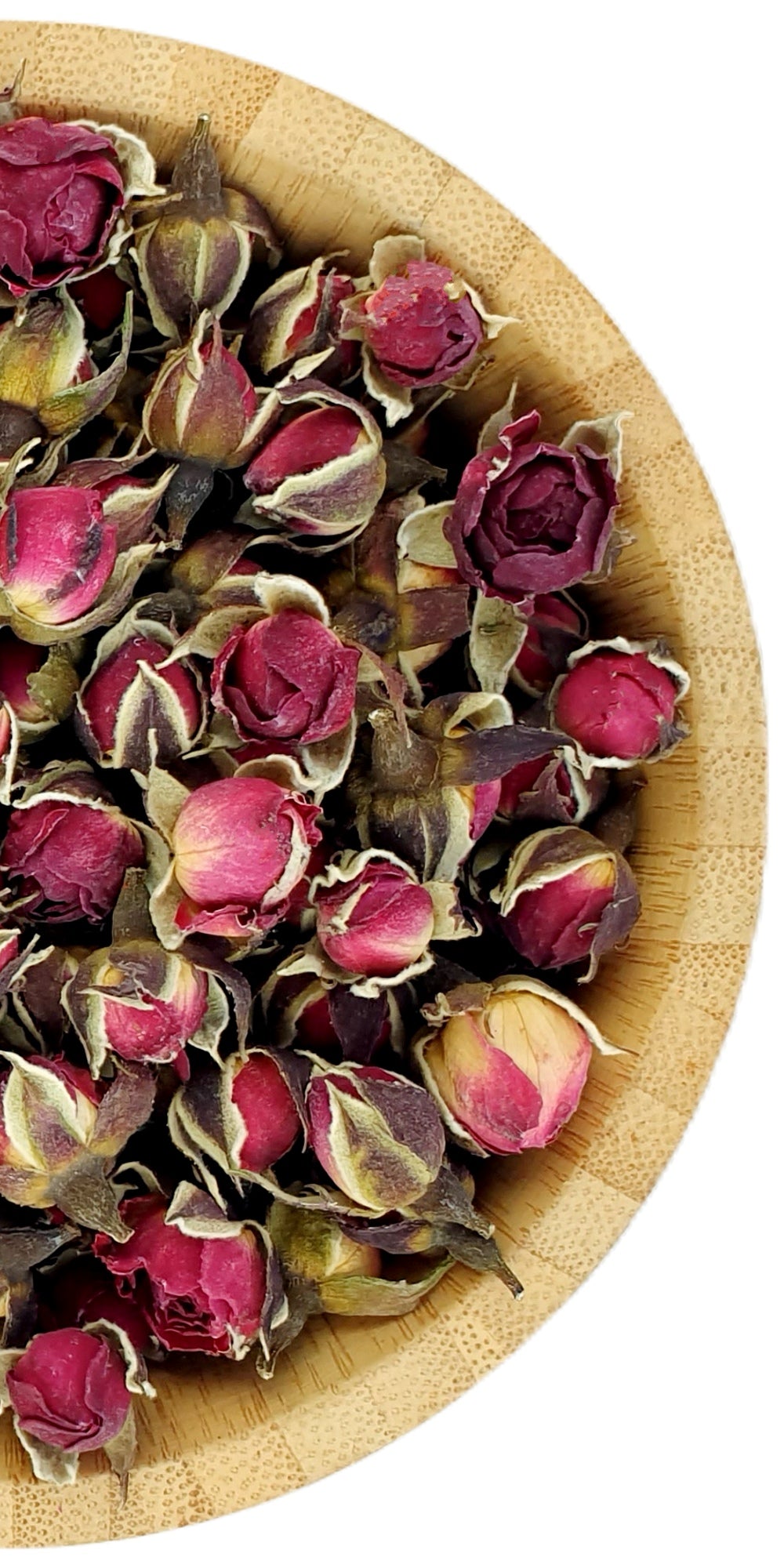 Golden Red Rose Buds