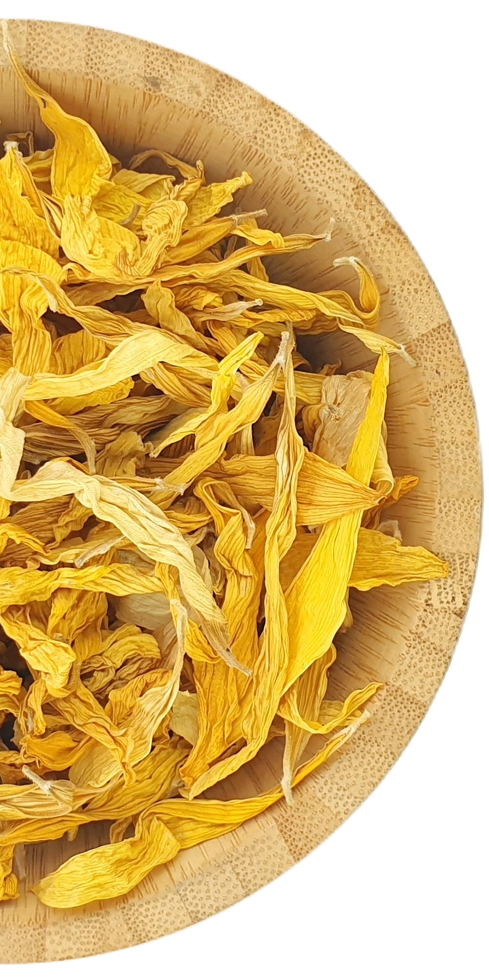 Sunflower Petals