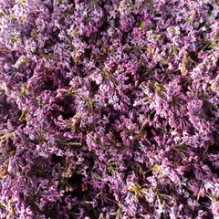 Light Lilac Flowers - Limited Quantity - Out of stock - HerbalMansion.com