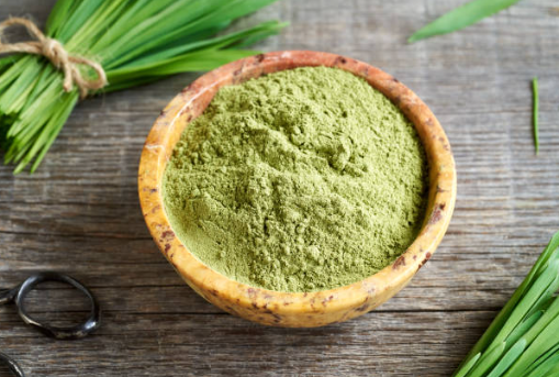 Young Barley Grass Powder - HerbalMansion.com