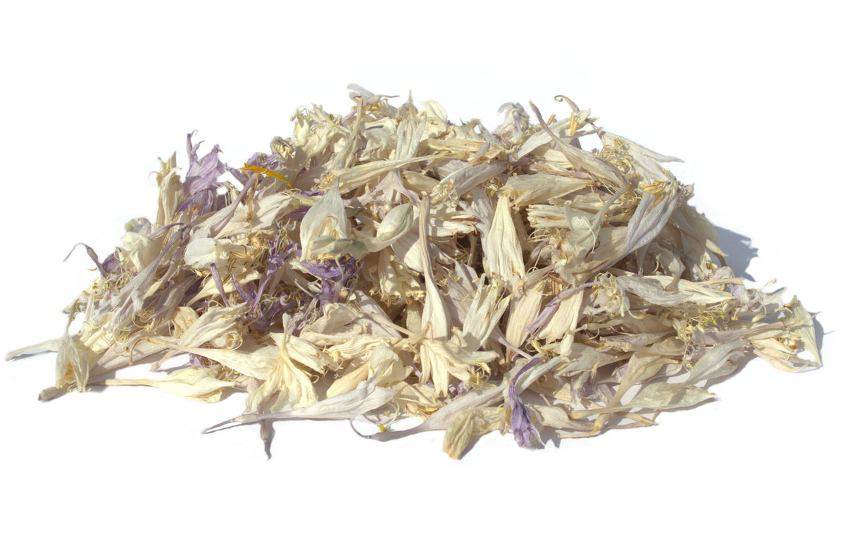 Funkia Flowers - Limited Quantity - HerbalMansion.com