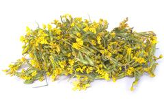 Primrose - Limited Quantity - HerbalMansion.com