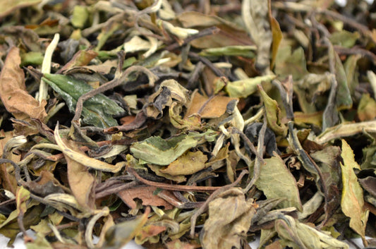 Pai Mu Tan (Bai Mu dan) White Tea - HerbalMansion.com