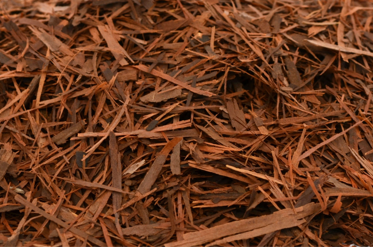 Pau D'Arco / Lapacho Tea - HerbalMansion.com