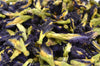 Butterfly Pea Flowers - HerbalMansion.com