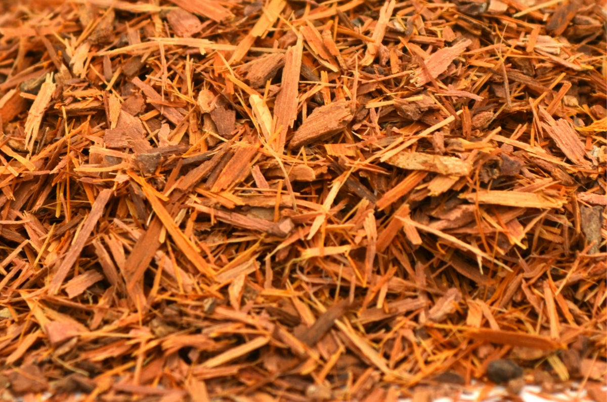 Catuaba Bark - HerbalMansion.com