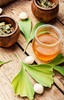 Ginkgo Biloba Leaf - Herbs - HerbalMansion.com
