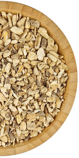 Angelica Root