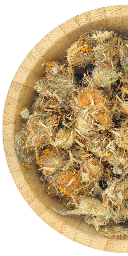 Arnica Flowers