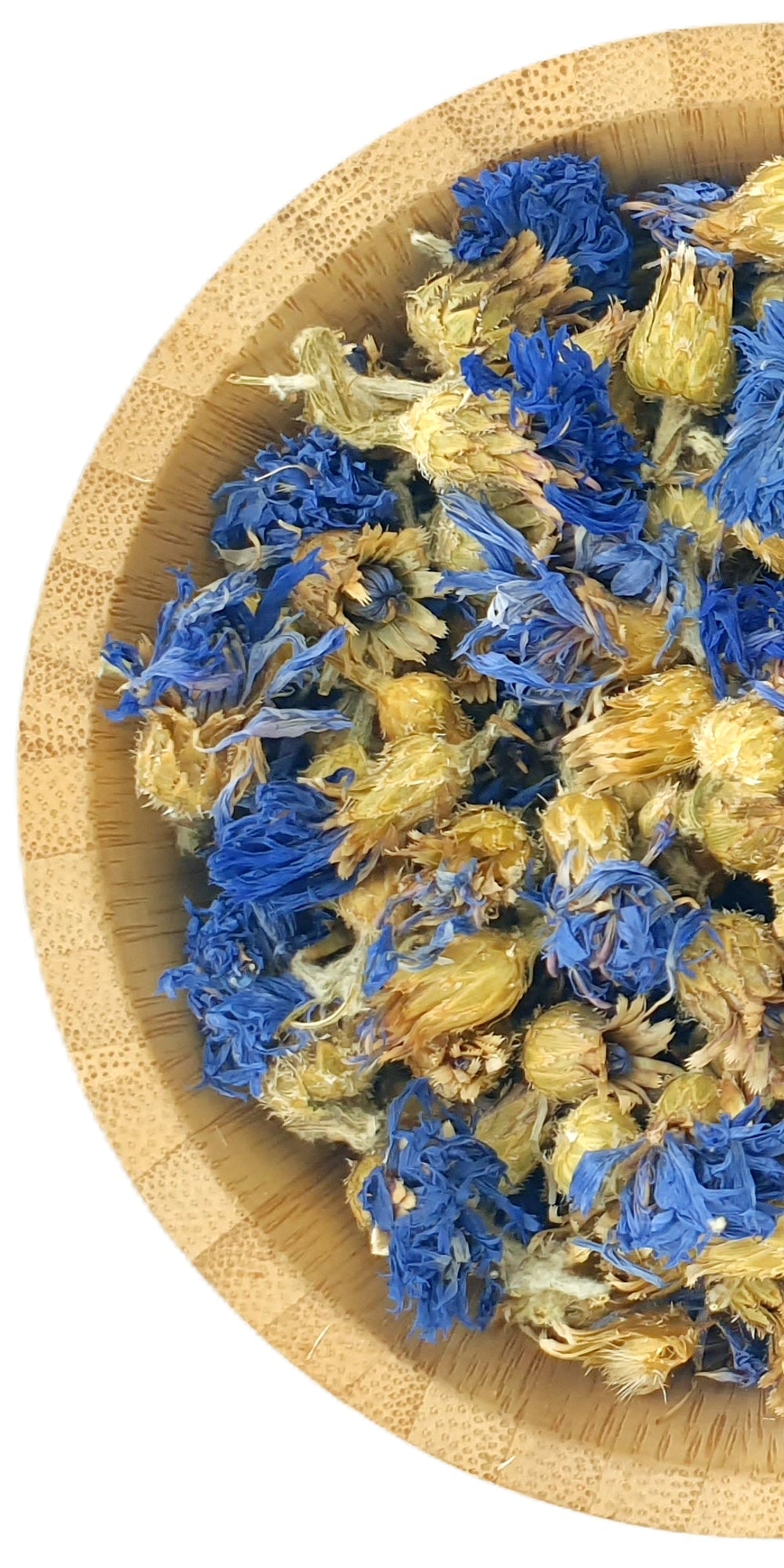 Blue Cornflowers