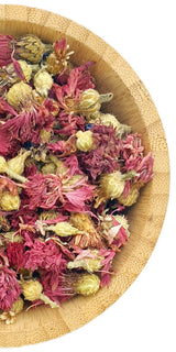 Pink Cornflowers