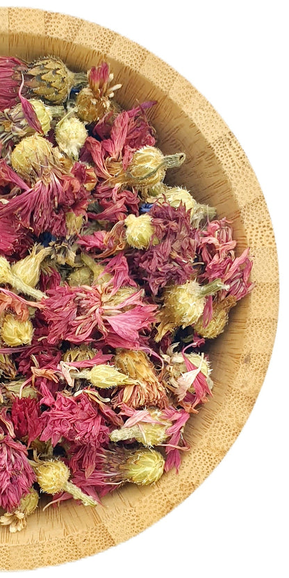 Pink Cornflowers