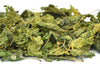 Stinging Nettle Leaf - Limited Quantity - HerbalMansion.com