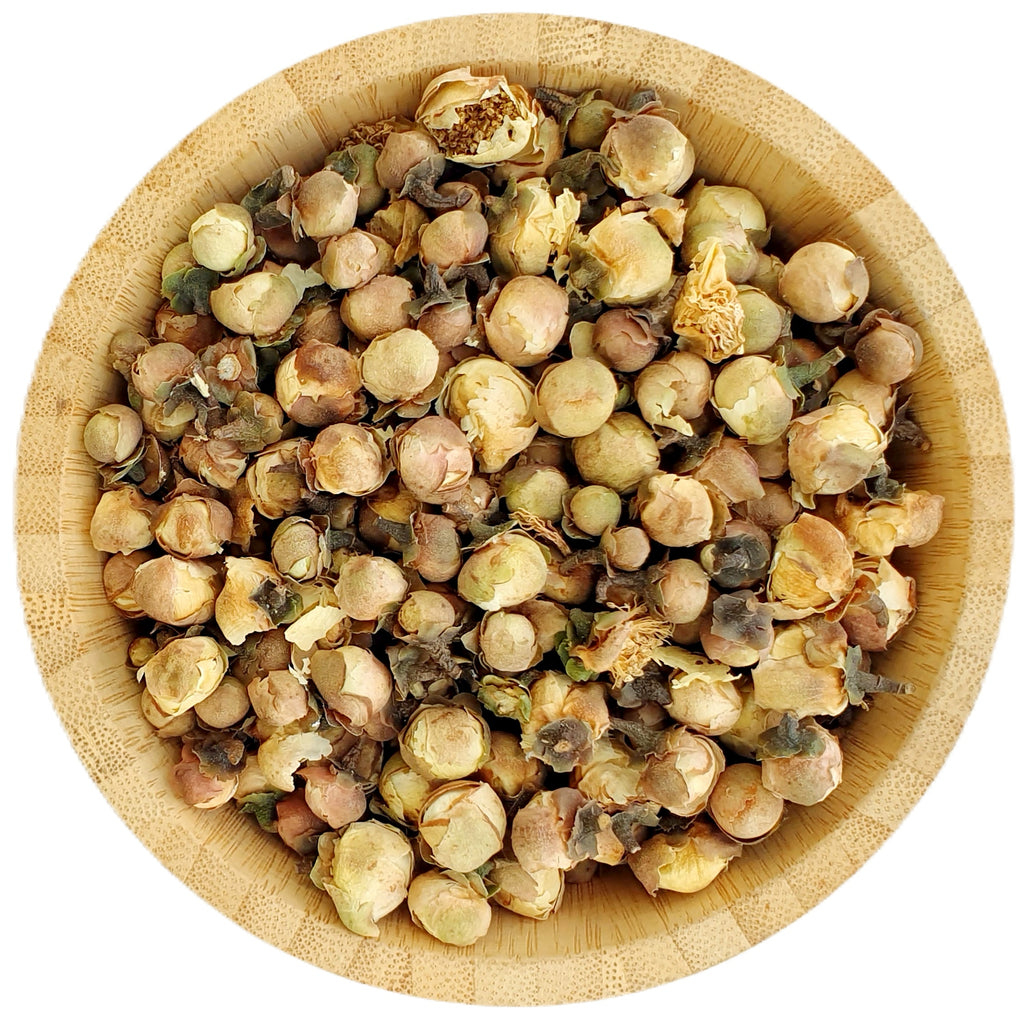camellia flower seeds Dried Camellia Flower Buds - Dried Flowers