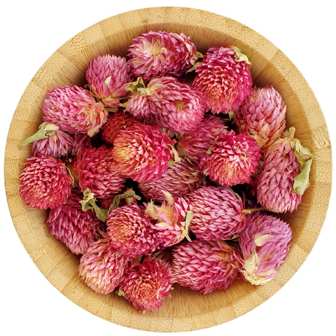 Dried Globe Amaranth Flowers - Gomphrena - HerbalMansion.com