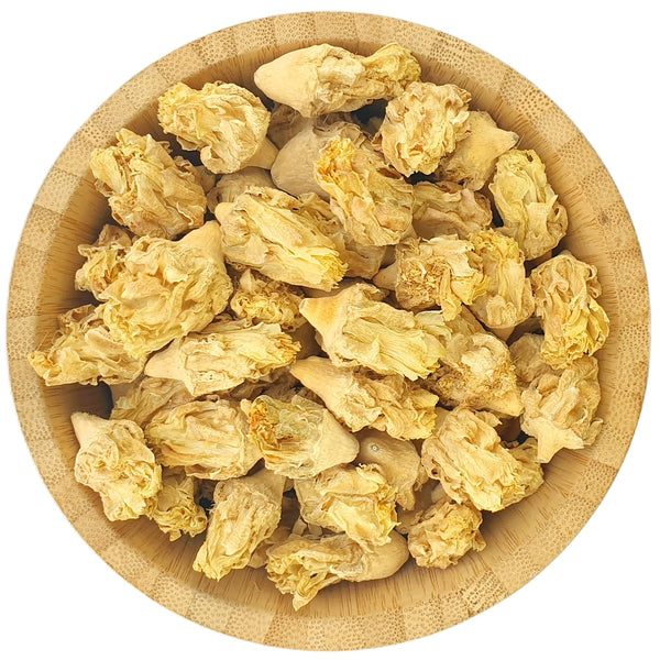 prickly pear cactus flower tea Dried Prickly Pear - Opuntia Dried Flowers