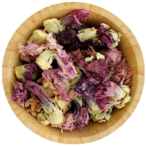 Dried Purple Hollyhock - Dried Flowers - HerbalMansion.com