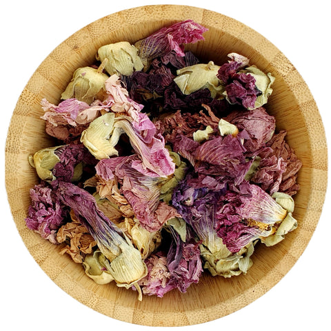 Dried Purple Hollyhock - Dried Flowers - HerbalMansion.com