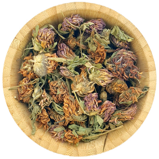 Dried Red Clover Flowers - Dried Flowers - HerbalMansion.com