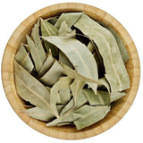 Eucalyptus Leaves