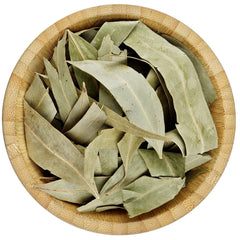 Eucalyptus Leaves