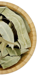 Eucalyptus Leaves
