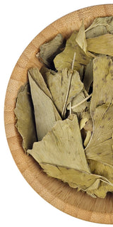 Ginkgo Biloba Leaf