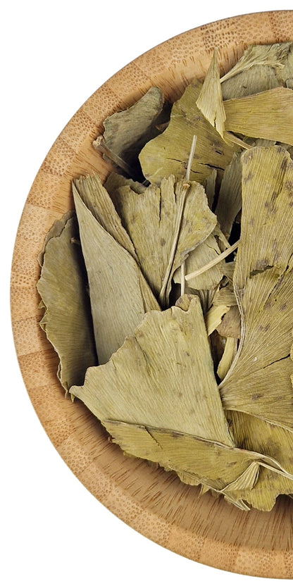 Ginkgo Biloba Leaf