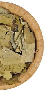 Ginkgo Biloba Leaf