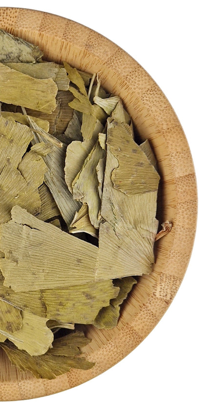 Ginkgo Biloba Leaf