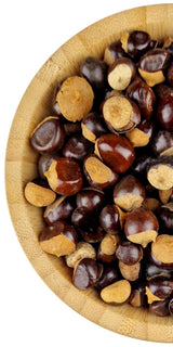 Guarana Seeds