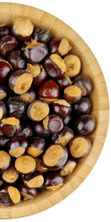 Guarana Seeds