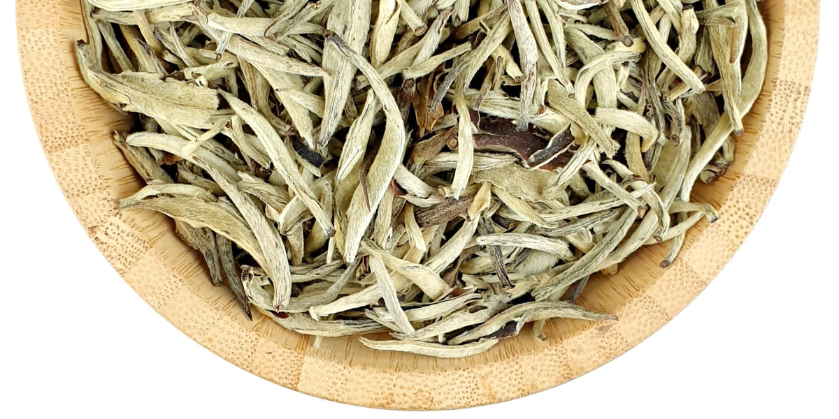 Silver Needle - White Tea