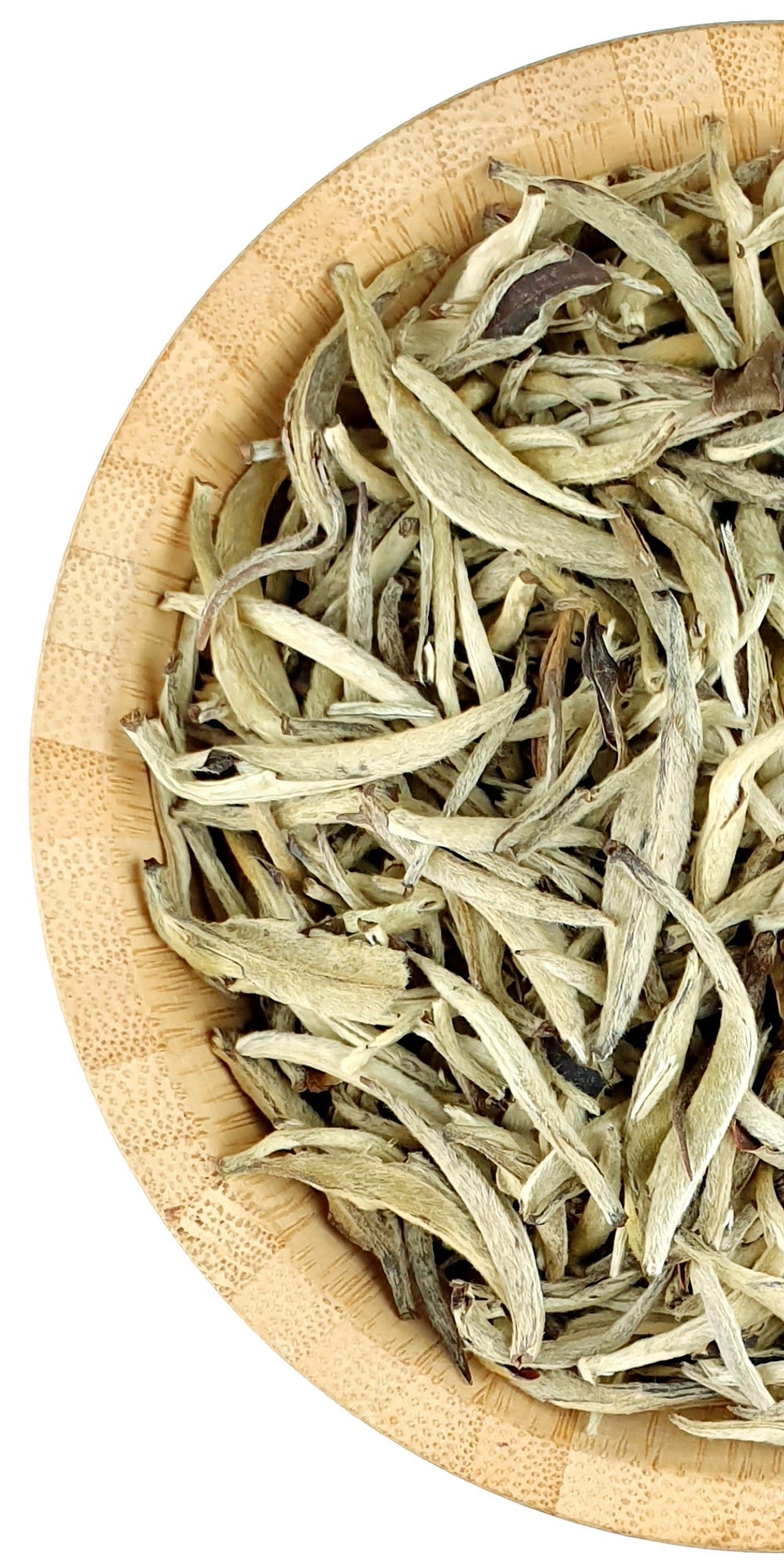 Silver Needle - White Tea