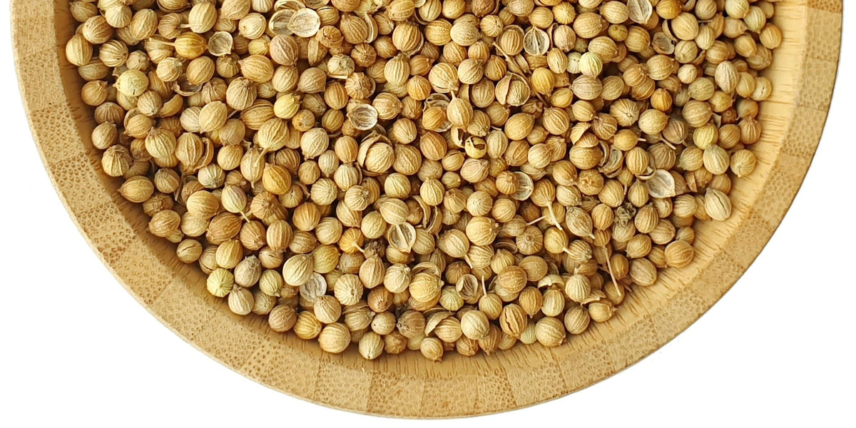 Coriander Seeds