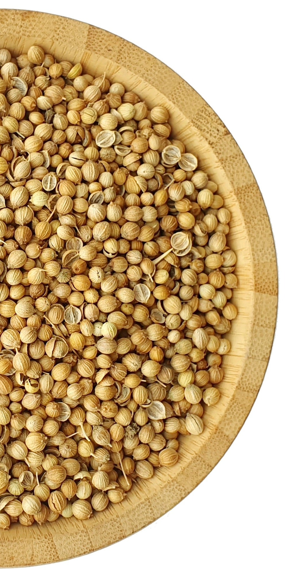 Coriander Seeds