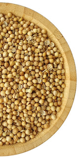 Coriander Seeds