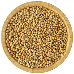 Coriander Seeds