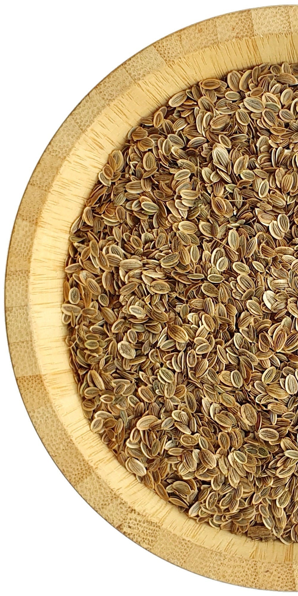 Dill Seeds