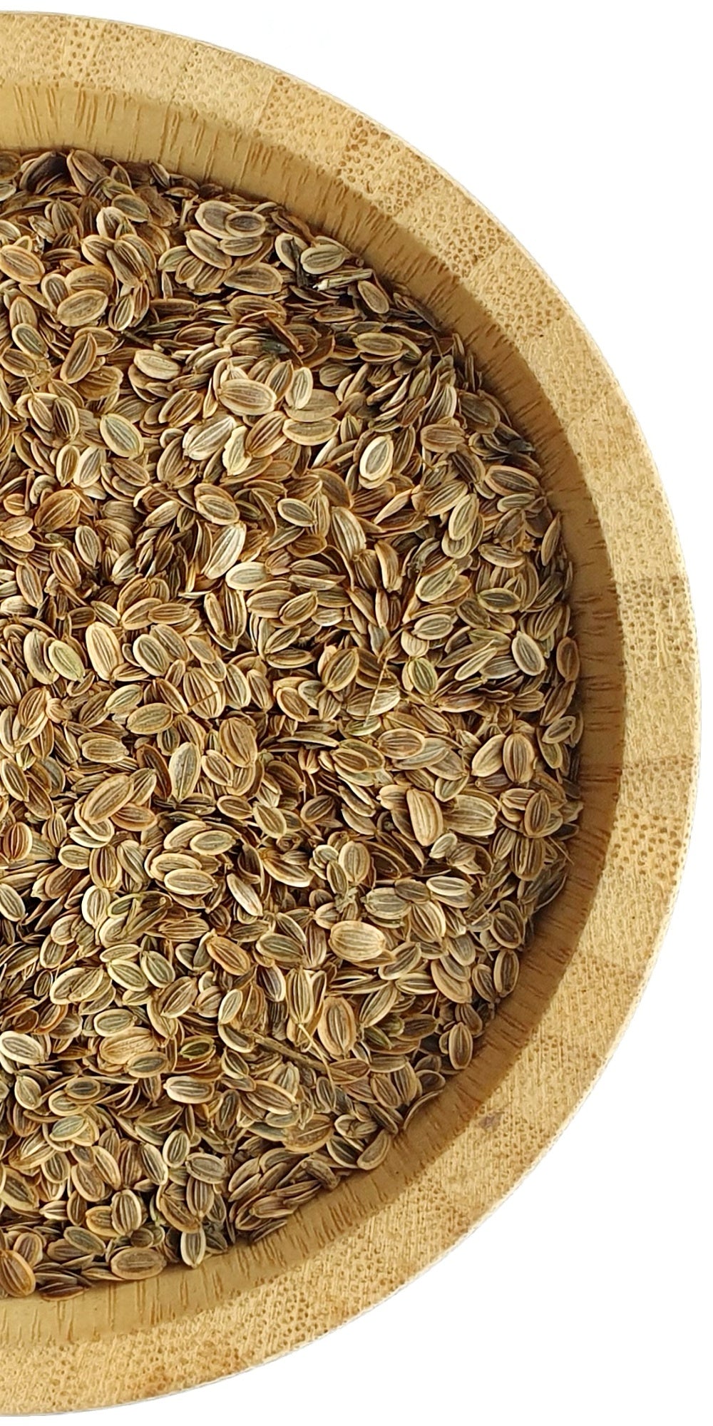 Dill Seeds