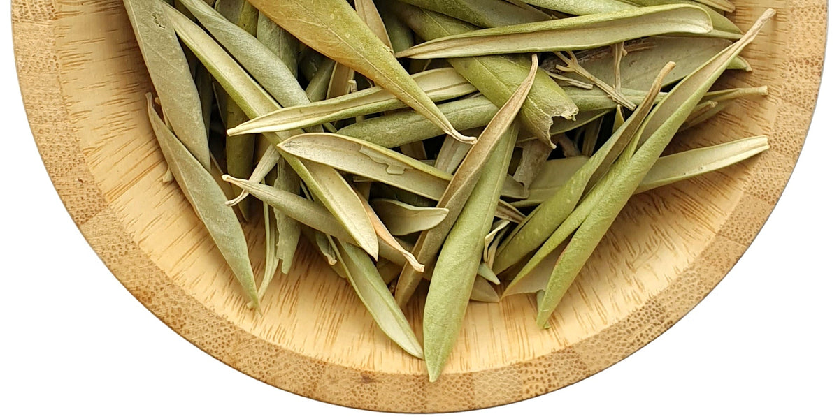 Olive Leaf