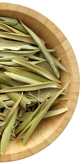 Olive Leaf